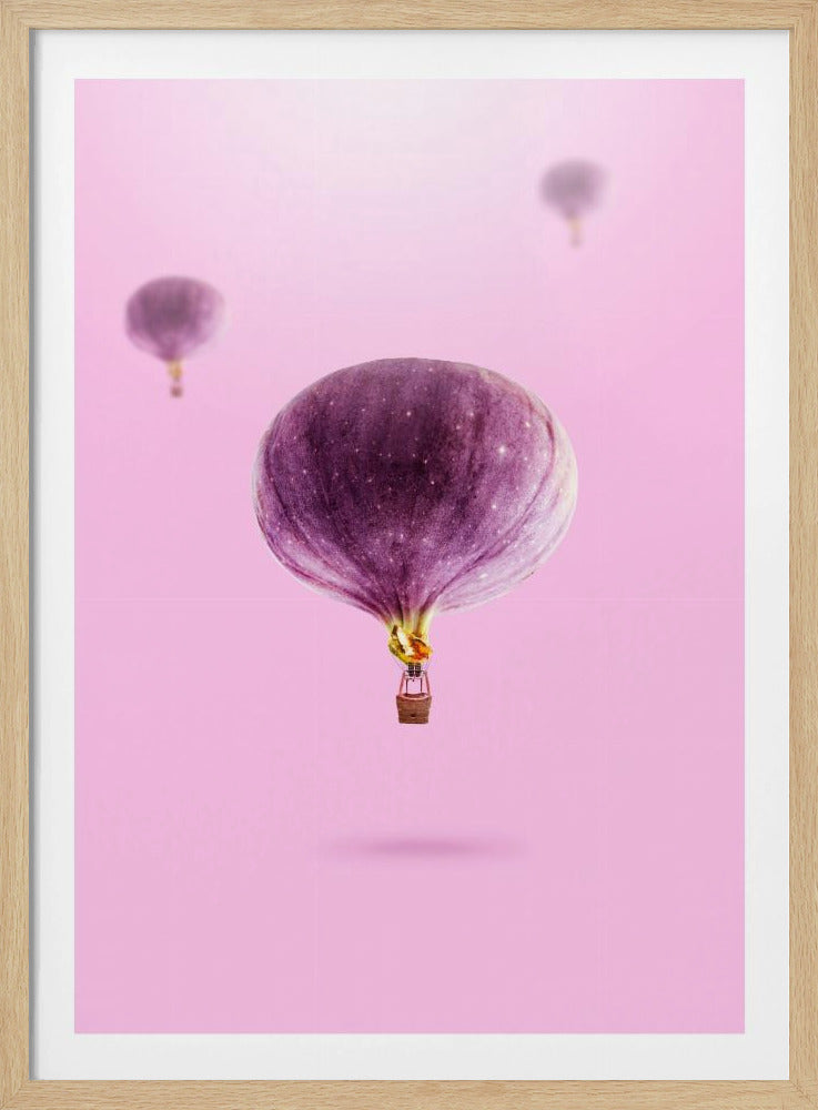 Figner Balloner | Plakater - Kunsttryk