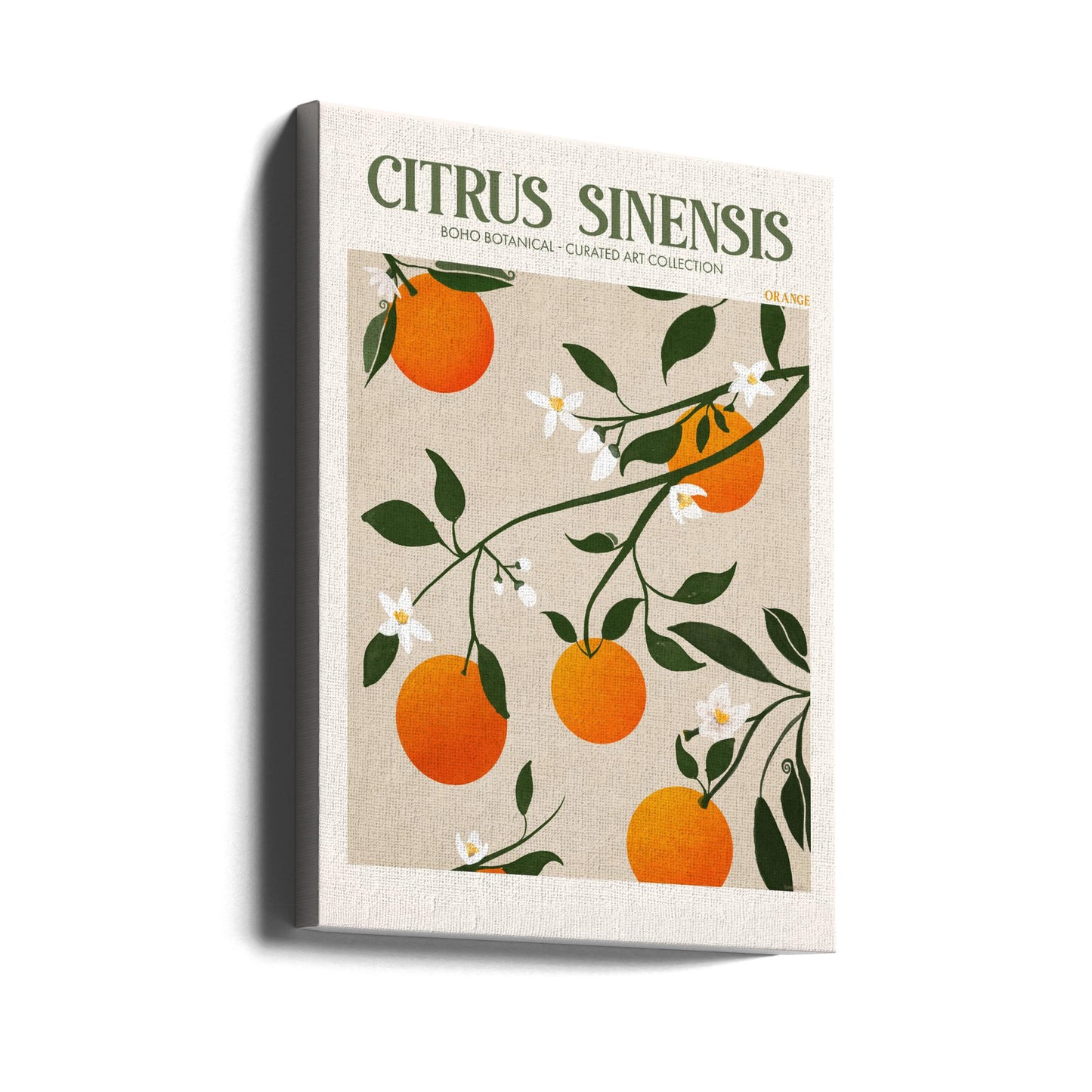 Citrus Sinensis - Appelsiini | Canvastaulut