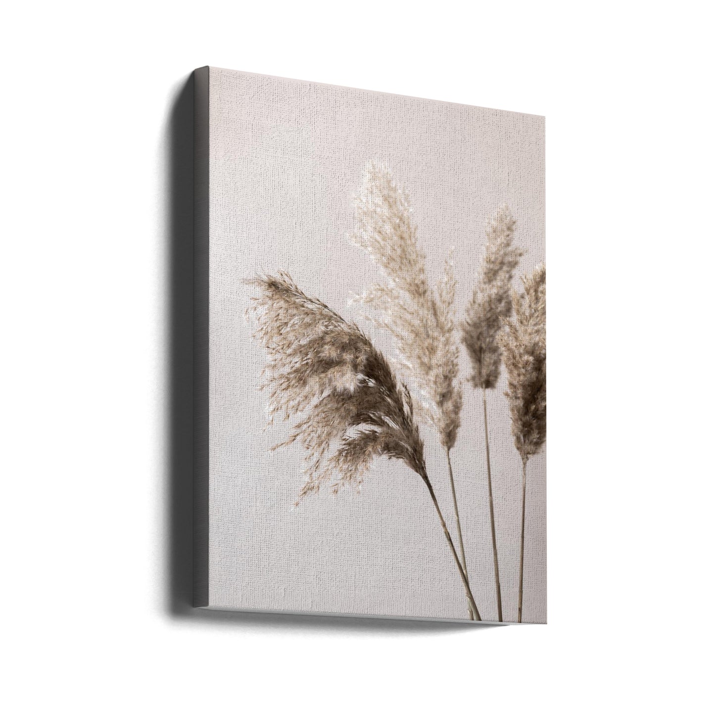 Gräs 24X | Canvas