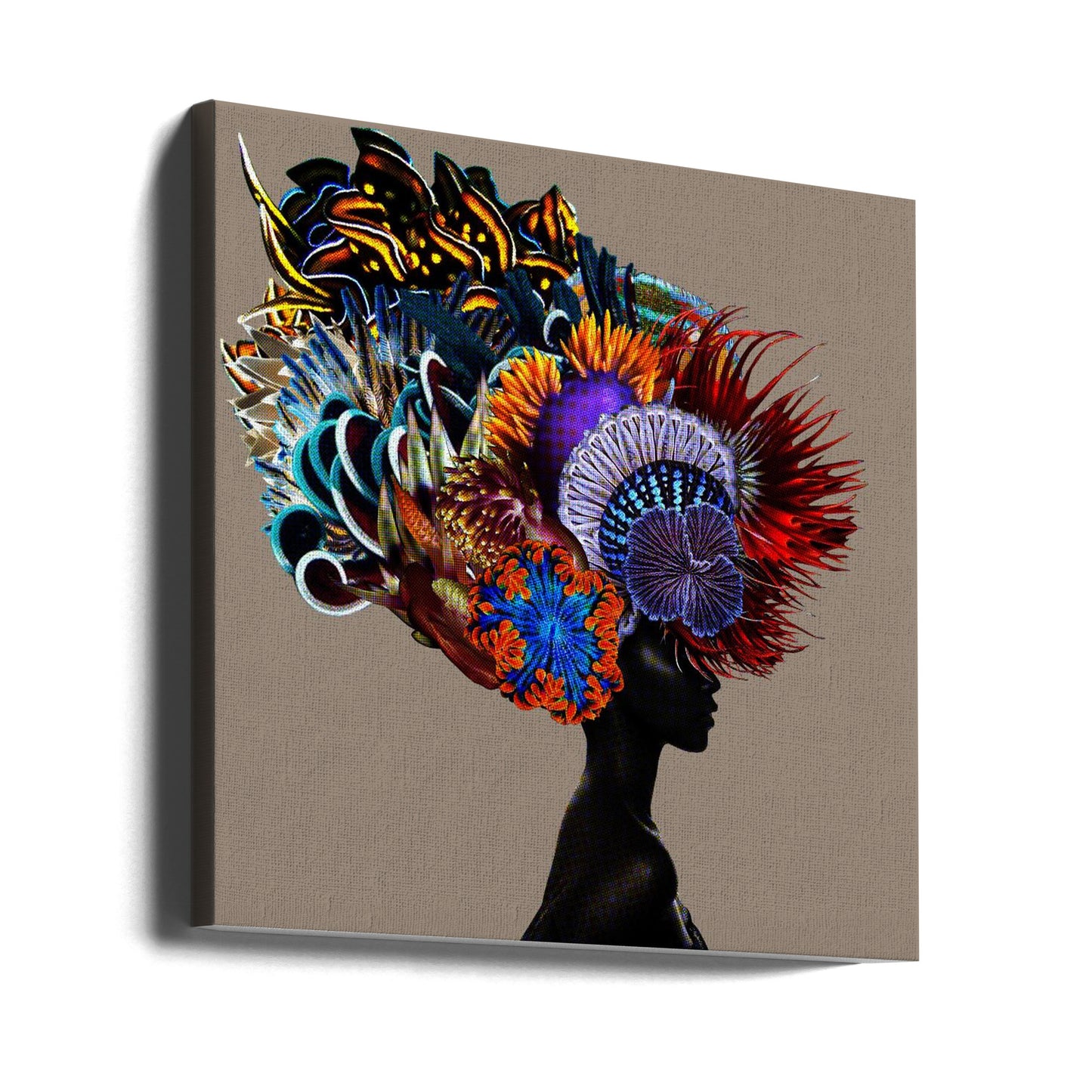Kroon op Glorie I | Canvasprints