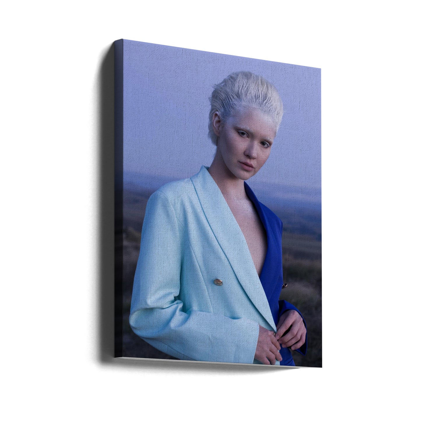 LA REINE DES NEIGES | Tableaux sur Toile
