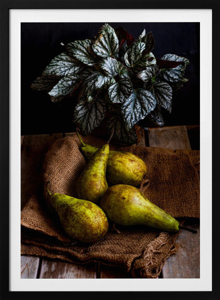 Birnen | Poster - Kunstdruck