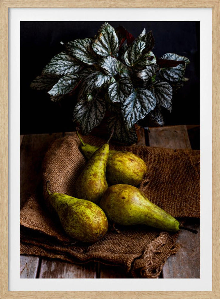 Birnen | Poster - Kunstdruck