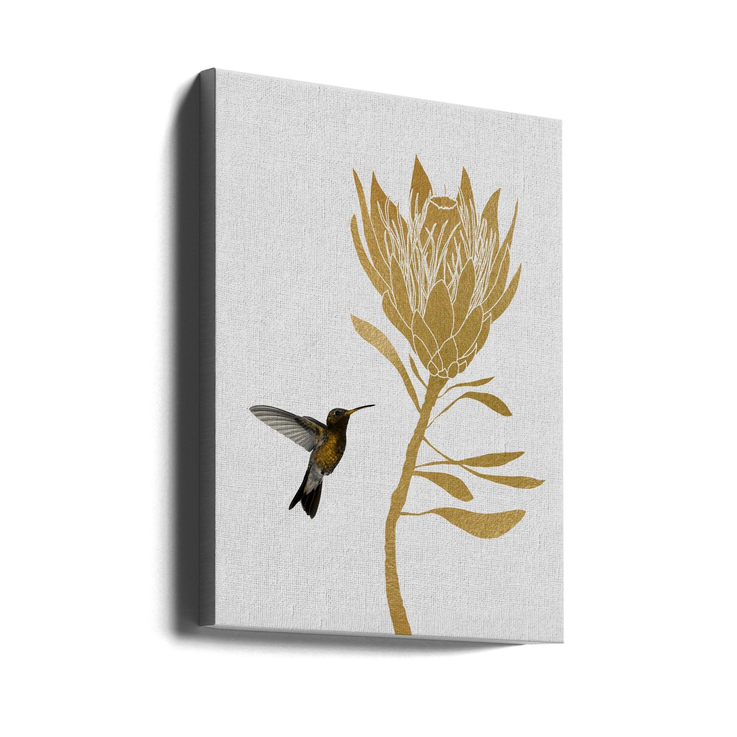 Colibrí y Flor I | Impresiones en Lienzo