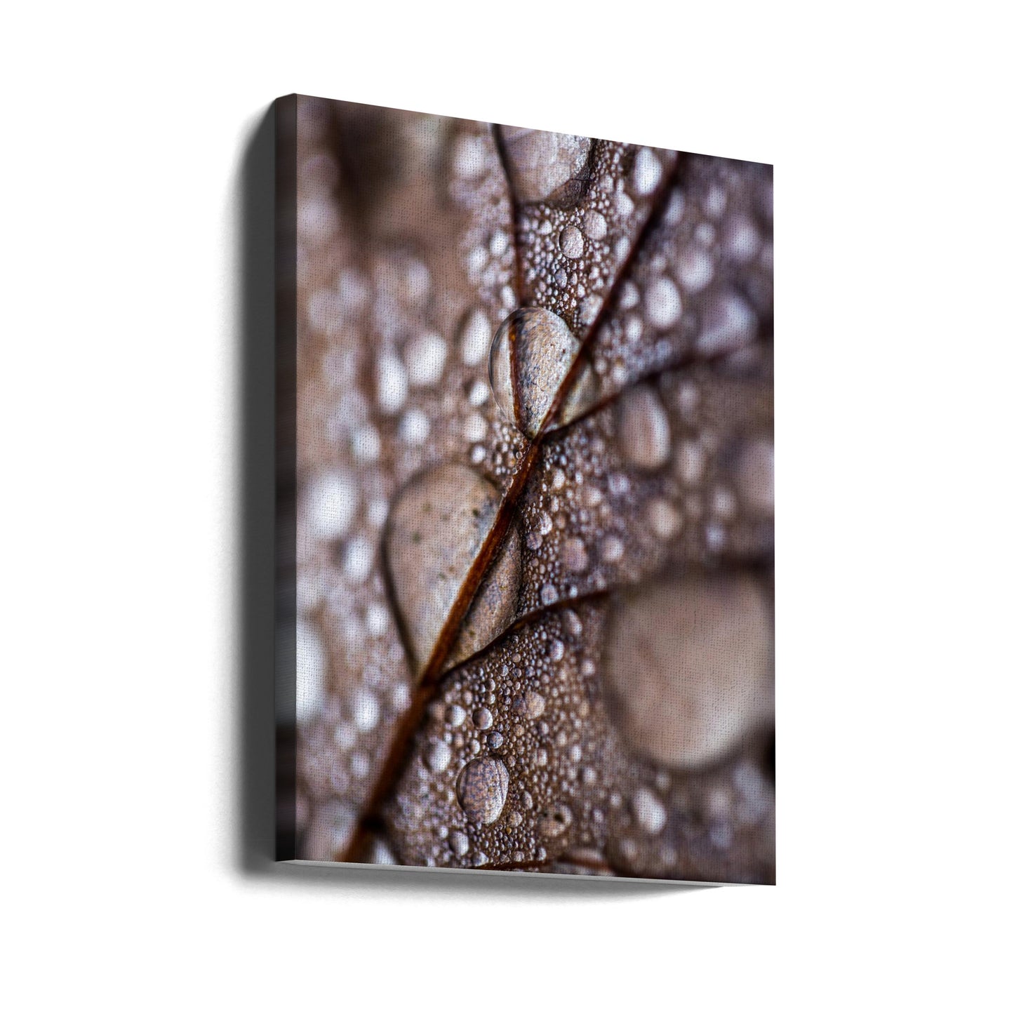 Pluie d'automne | Tableaux sur Toile