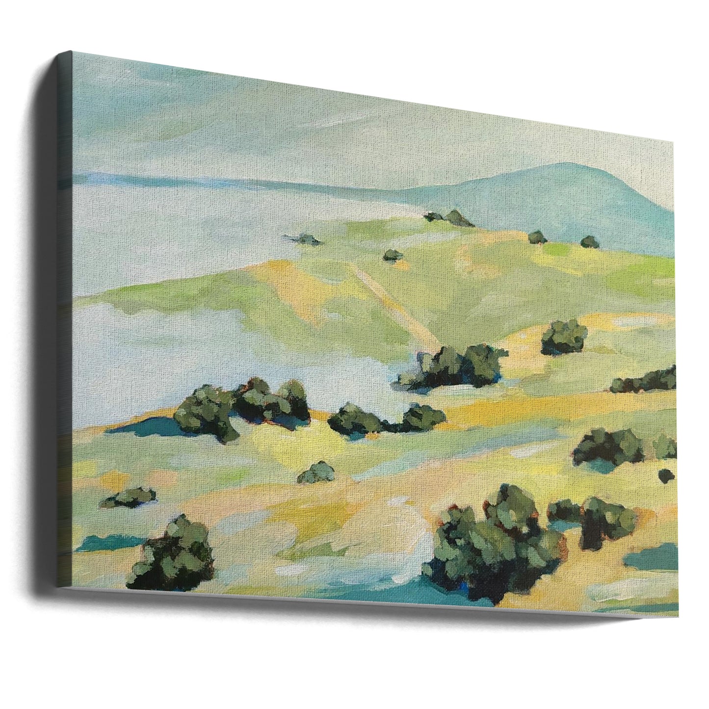 Dimma och kullar | Canvas