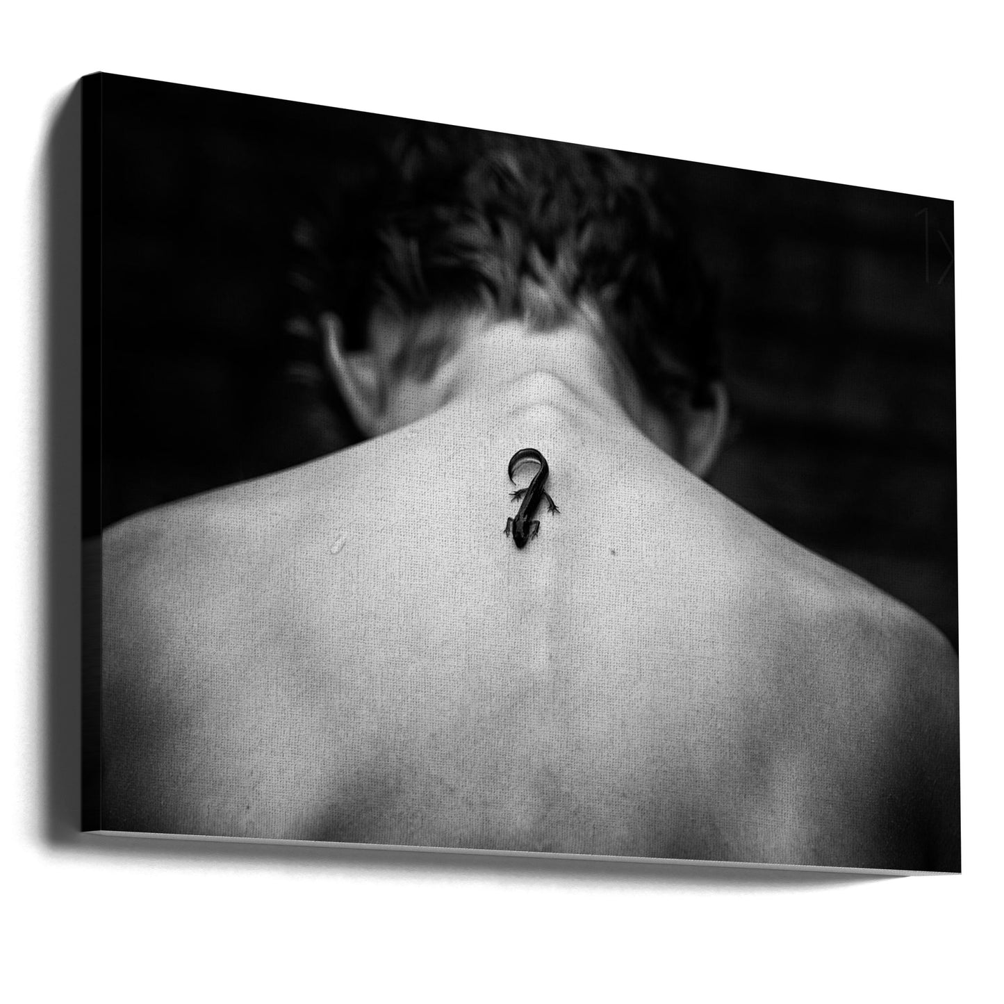 Tattoo möchte sein | Leinwand-Bilder