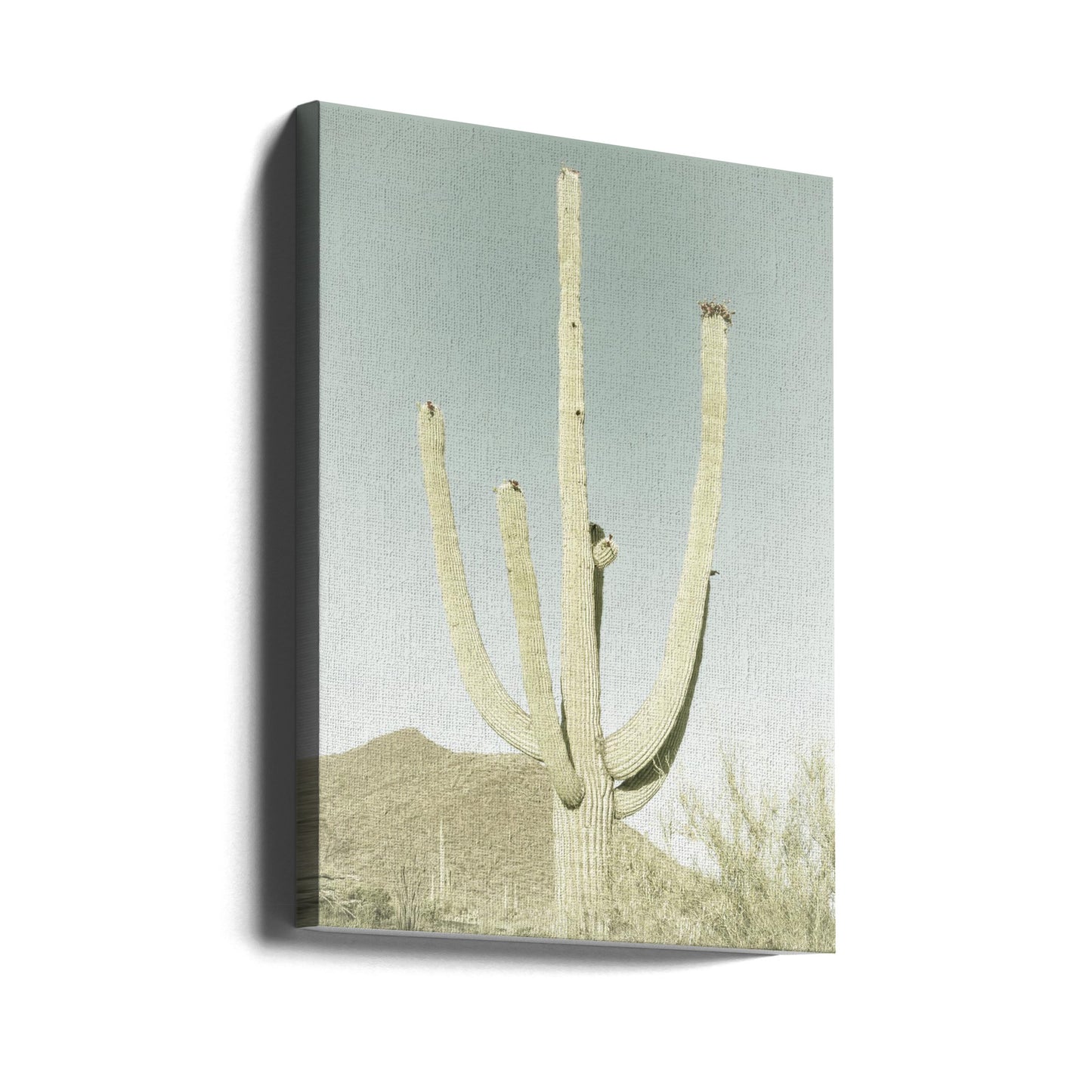 SAGUARO-NATIONALPARK Vintage Riesen-Saguaro | Leinwand-Bilder