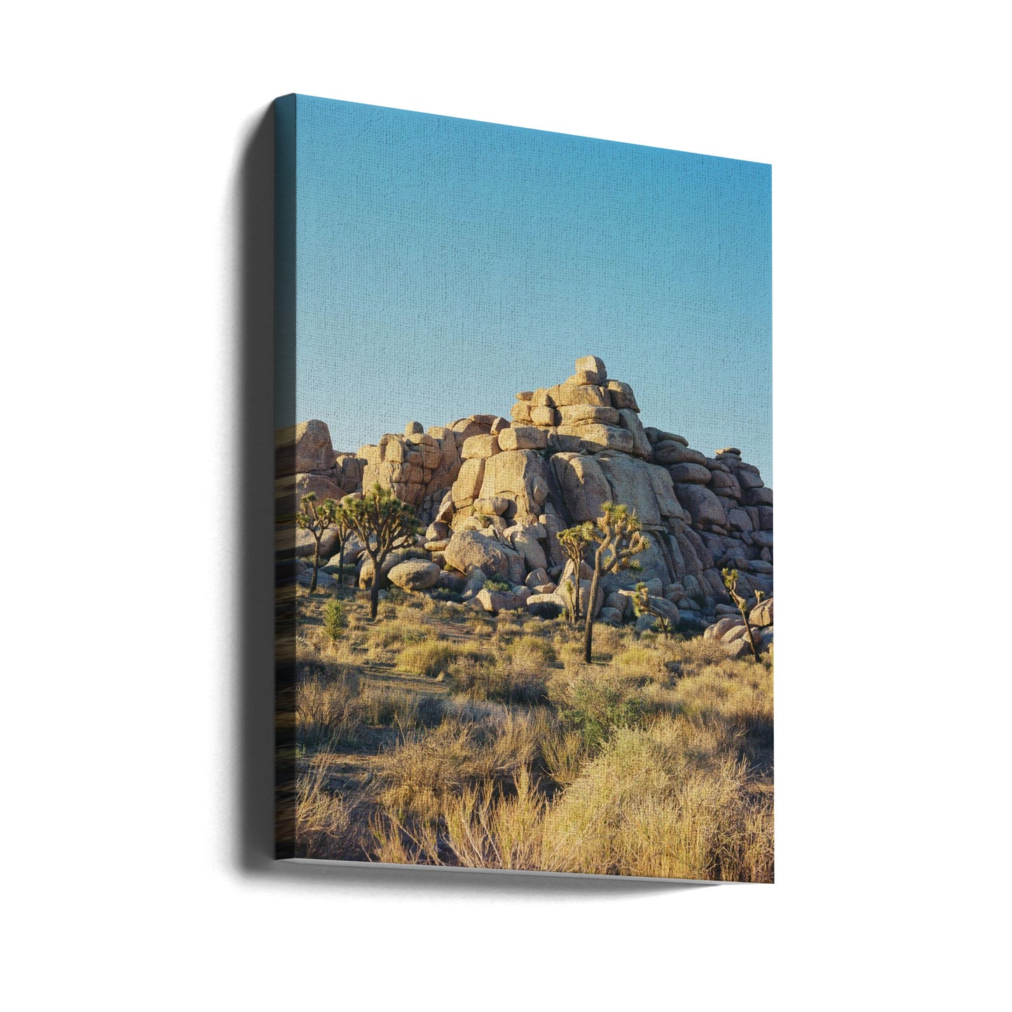 Joshua Tree Solnedgang | Lærredsbilleder