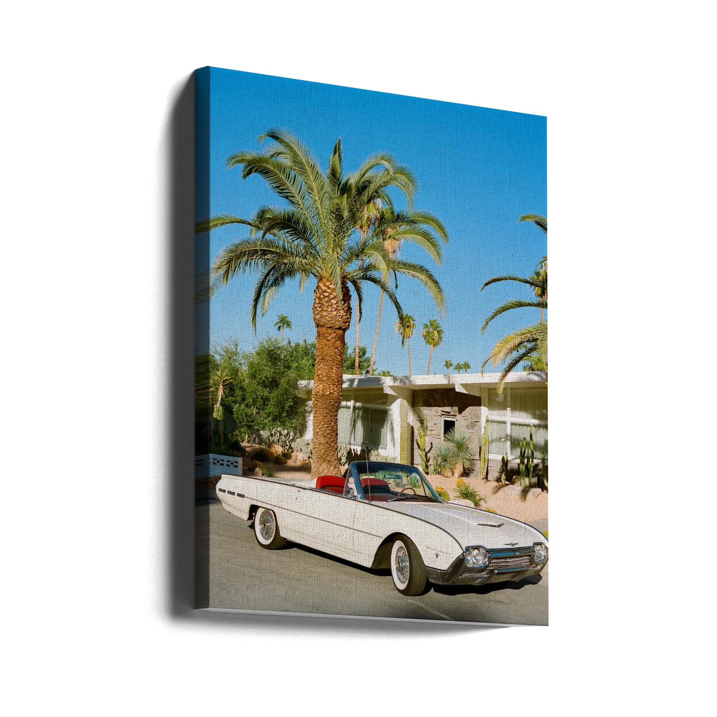 Palm Springs Thunderbird | Wydruki na łótnie