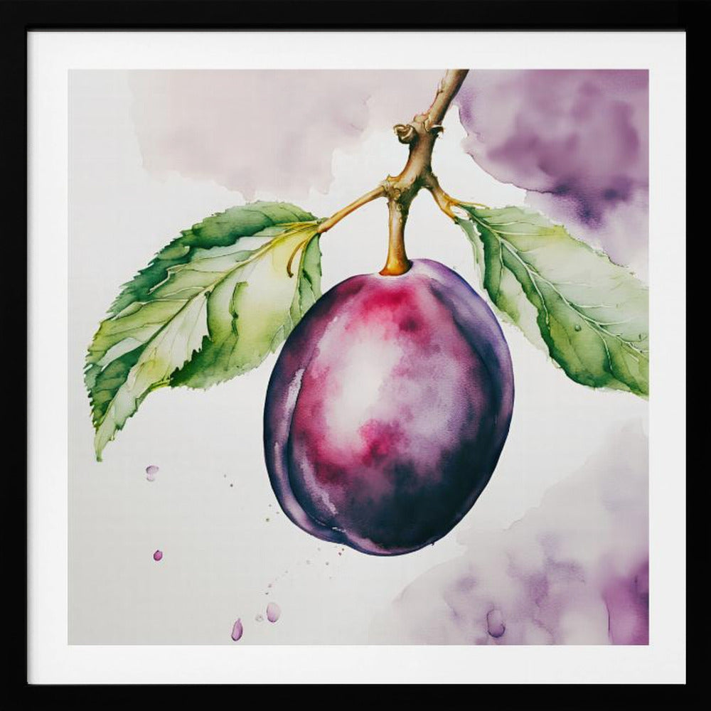 Pflaume, Aquarell, ink | Poster