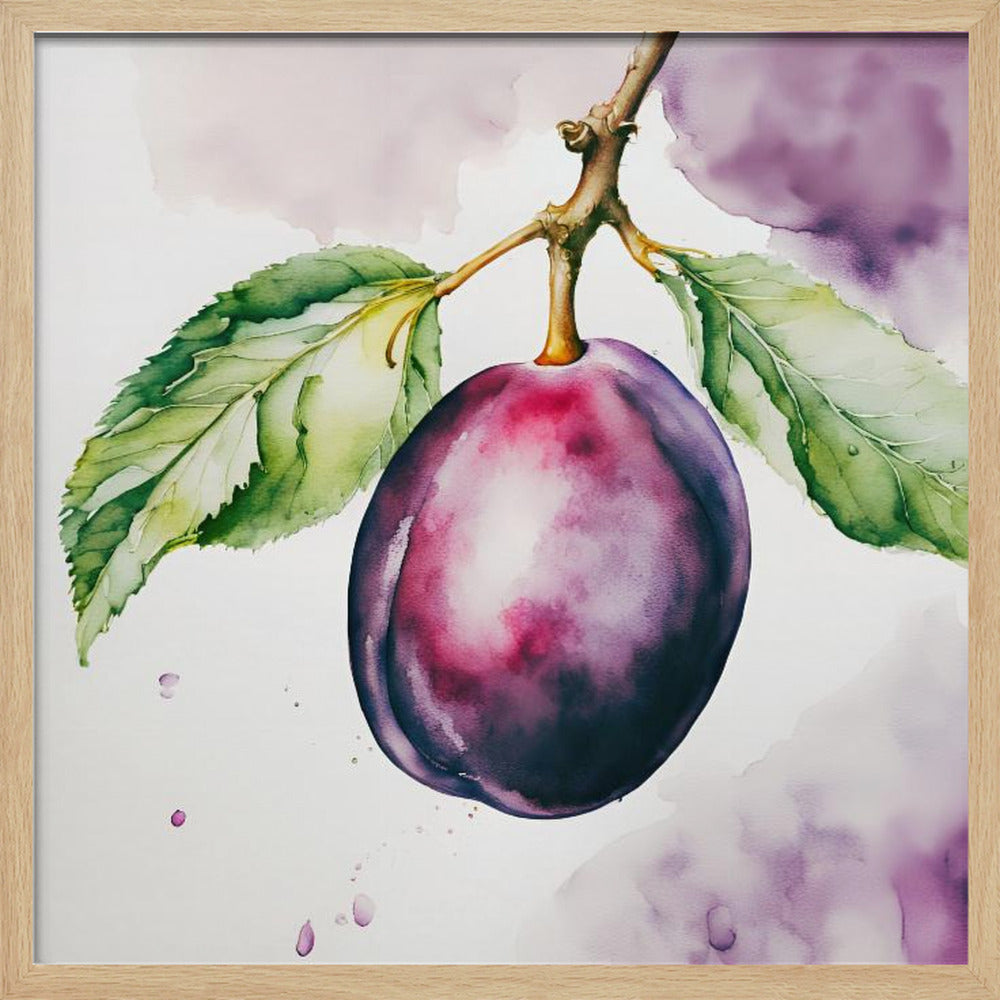 Pflaume, Aquarell, ink | Poster