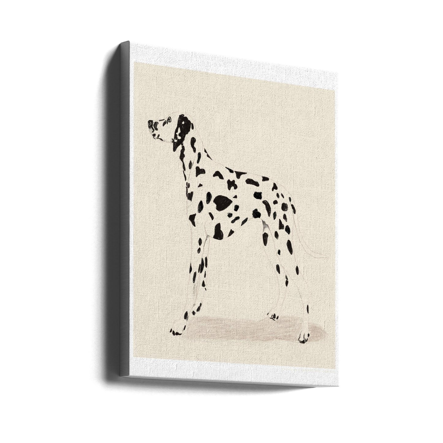Pandc Dalmatiner | Canvas