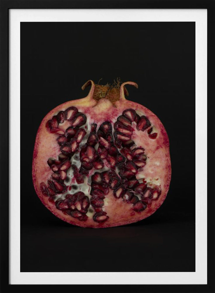 Seeded Heart | Poster