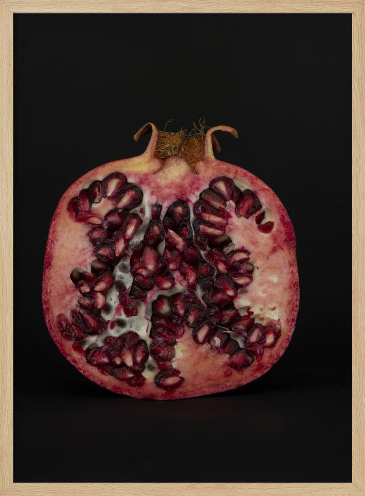 Seeded Heart | Poster