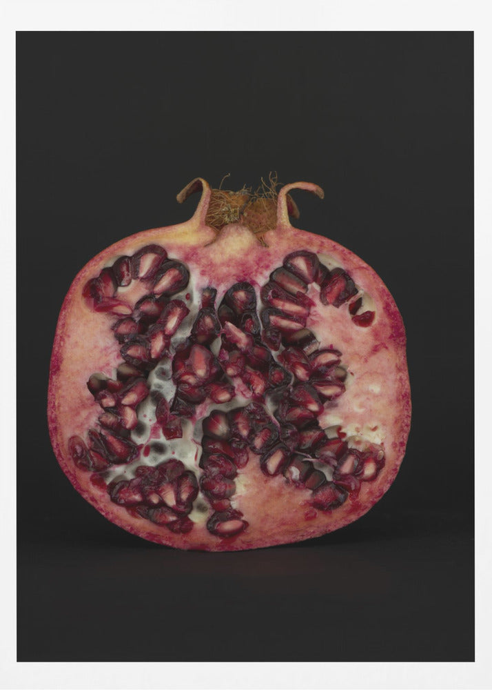 Seeded Heart | Poster
