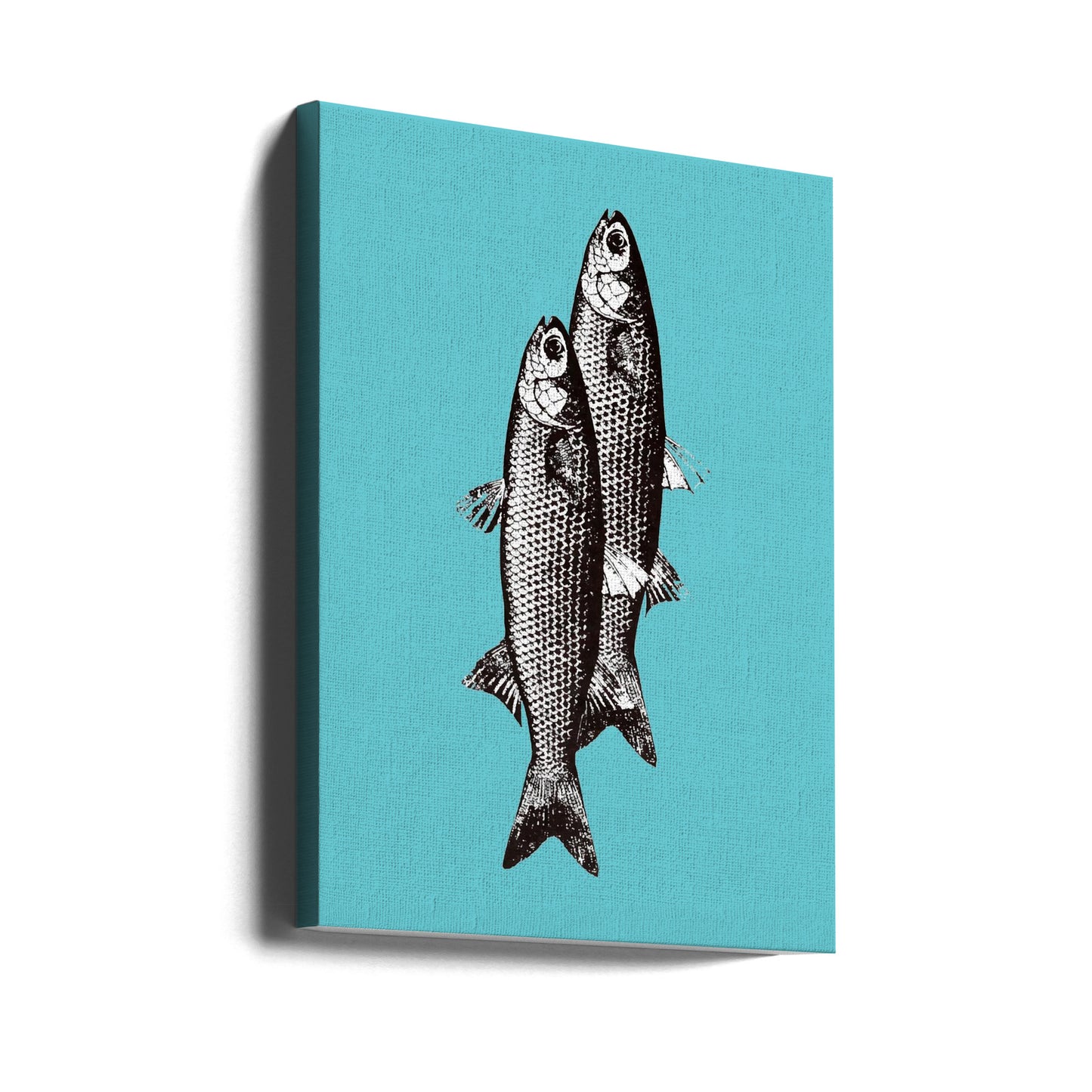 Sardientjes | Canvasprints