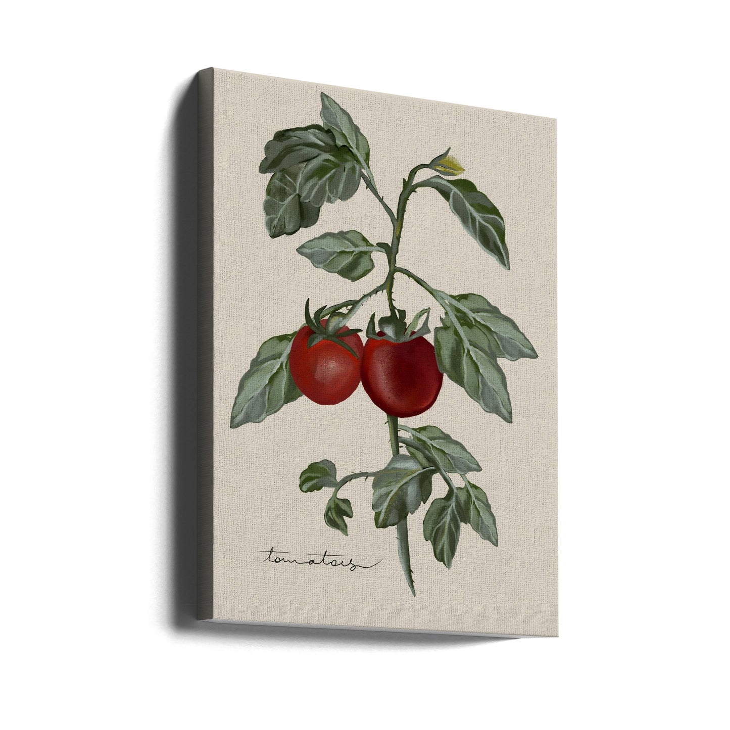 Vintage Garden | Canvas