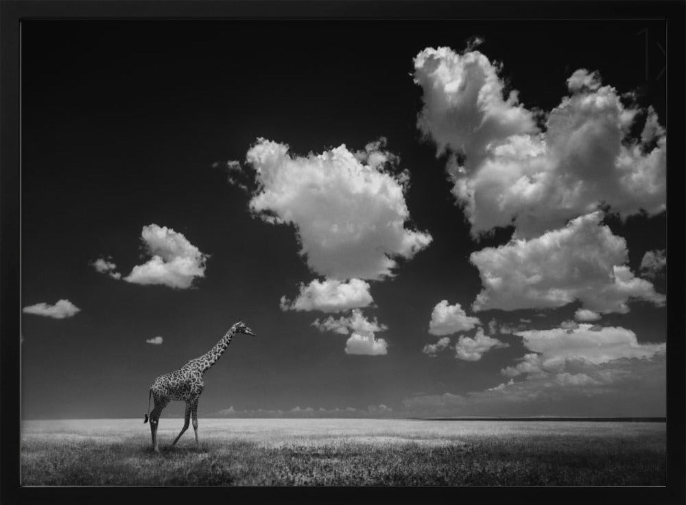 Lo que las nubes se llevaron Posters  - Impresiones de Arte