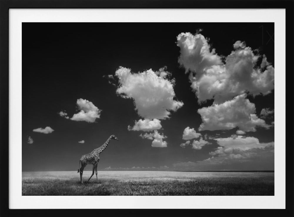 Lo que las nubes se llevaron Posters  - Impresiones de Arte