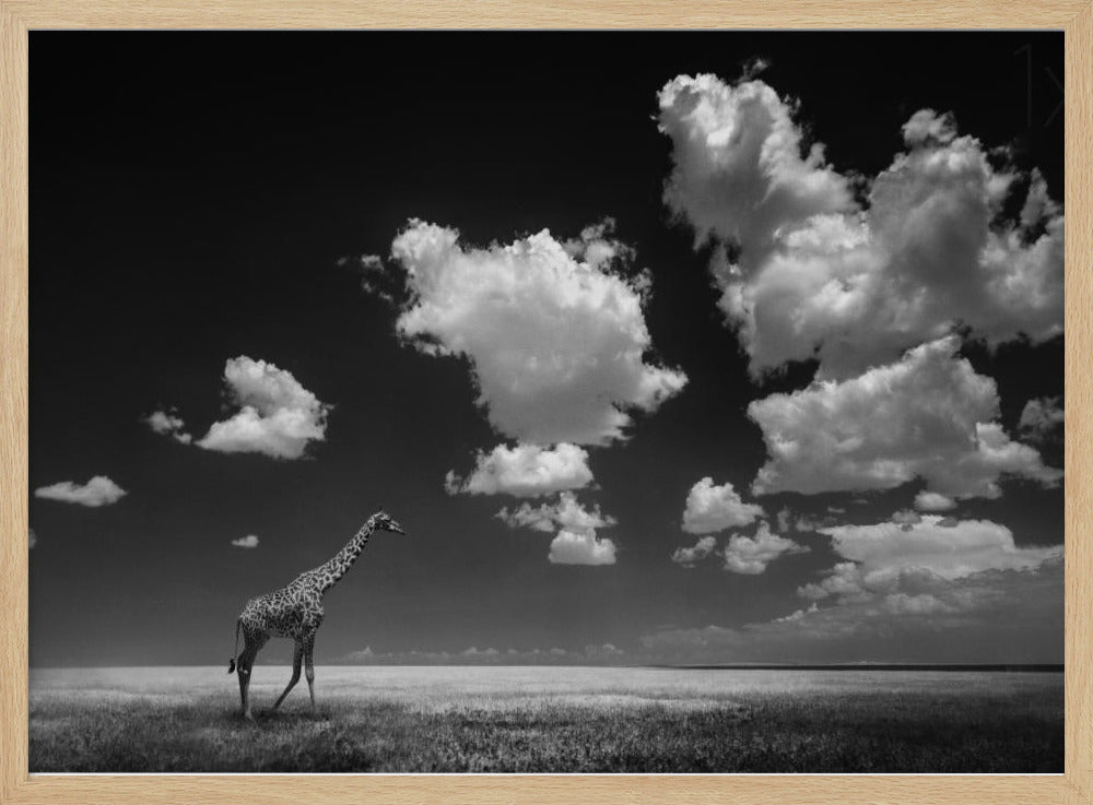 Lo que las nubes se llevaron Posters  - Impresiones de Arte