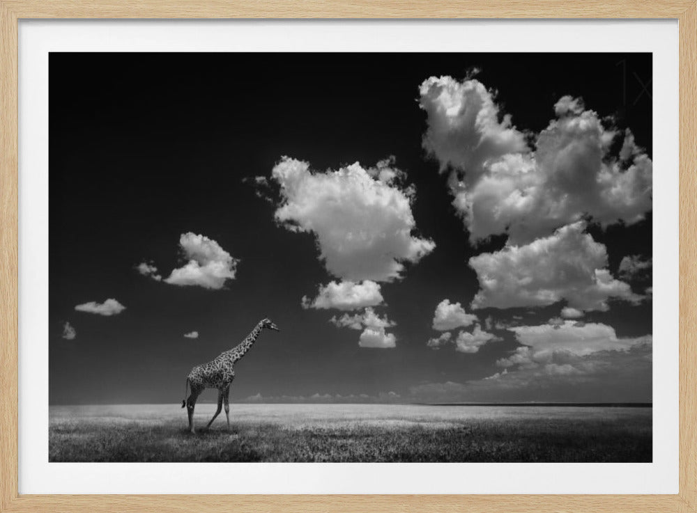 Lo que las nubes se llevaron Posters  - Impresiones de Arte