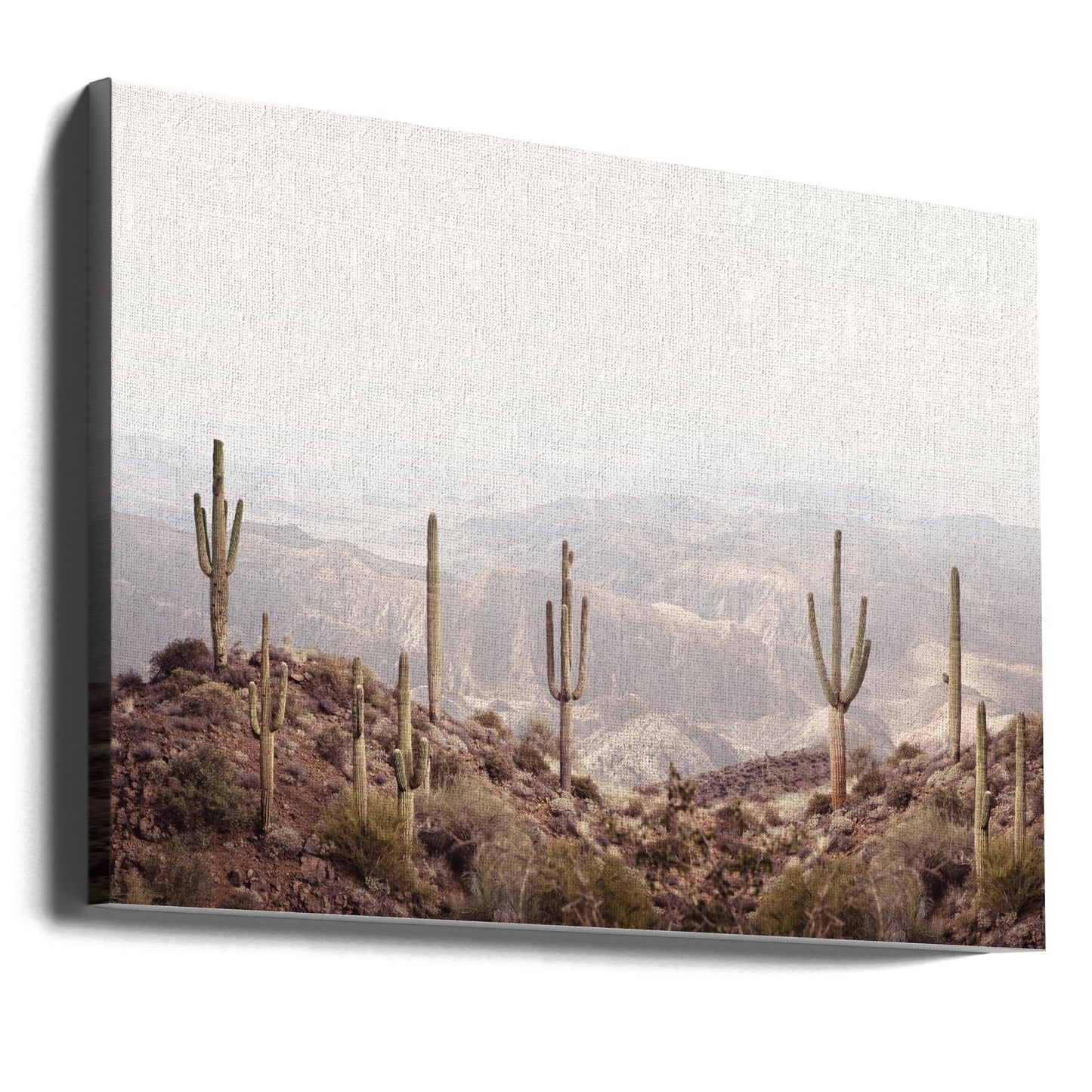 Arizonan laakso | Canvastaulut