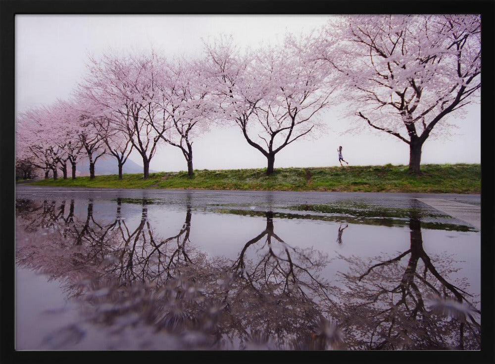 Lluvia de primavera | Posters  - Impresiones de Arte