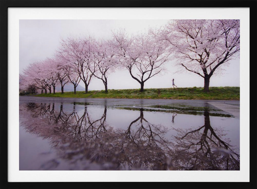 Lluvia de primavera | Posters  - Impresiones de Arte