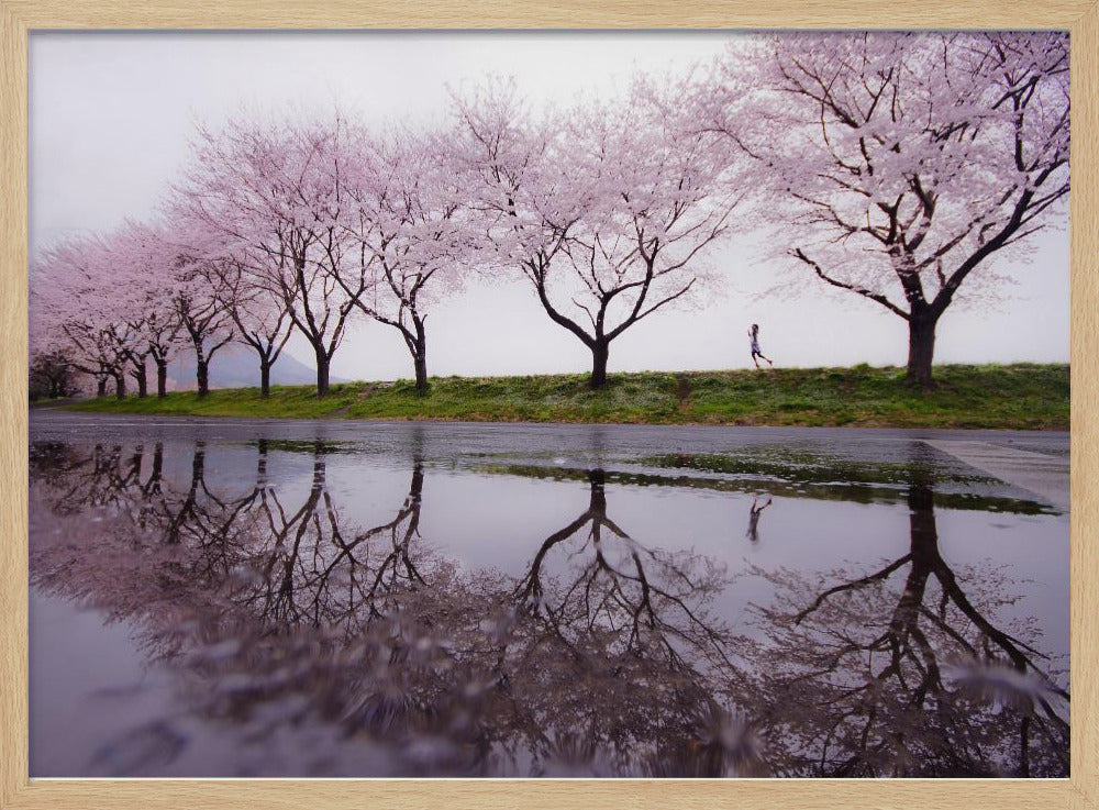 Lluvia de primavera | Posters  - Impresiones de Arte