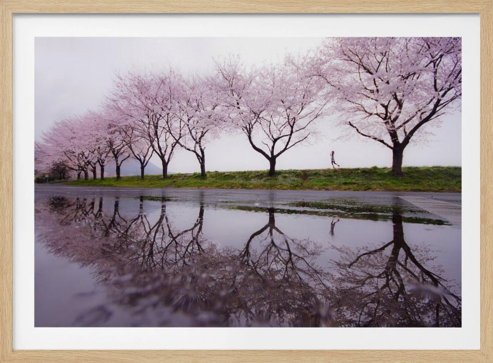Lluvia de primavera | Posters  - Impresiones de Arte