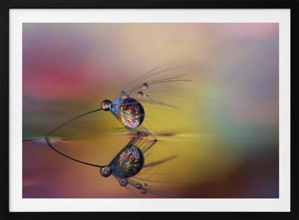 Colora l'oscurità | Poster - Stampe d’Arte