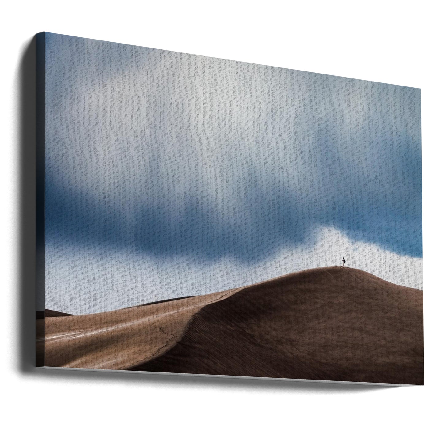 Stormjager | Canvasprints