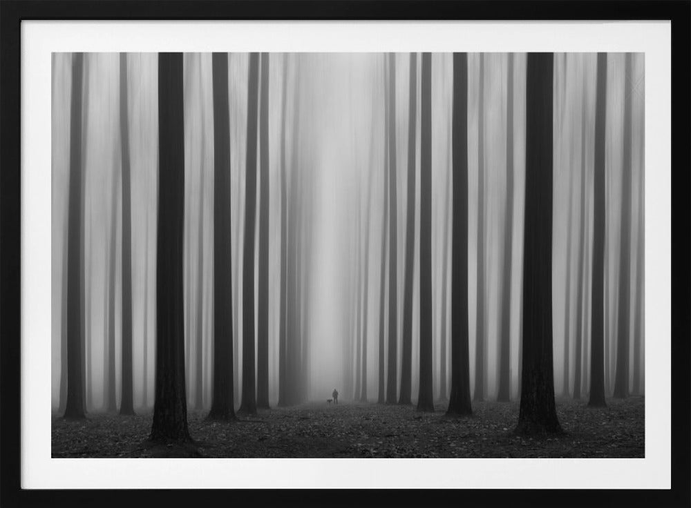 Labirynt | Plakaty - Wydruki Artystyczne