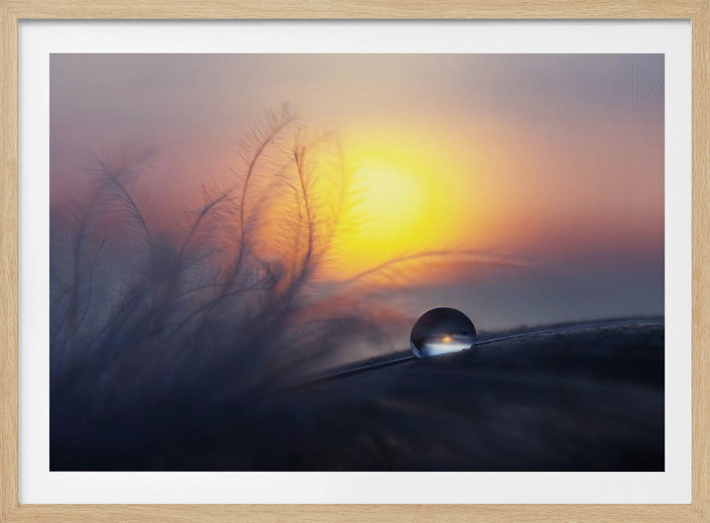 Mattina | Poster - Stampe d’Arte