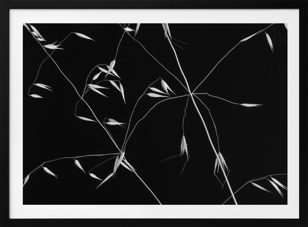Gekreuzte Linien | Poster - Kunstdruck