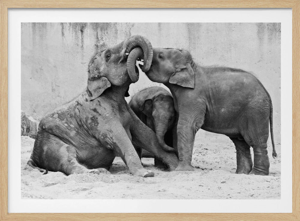 MÉNAGE À TROIS | Posters - Affiche Artistique