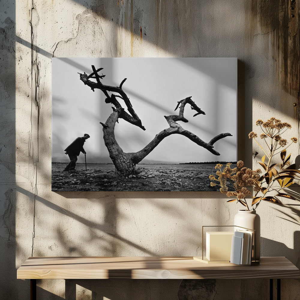 Gammal man och träd | Canvas