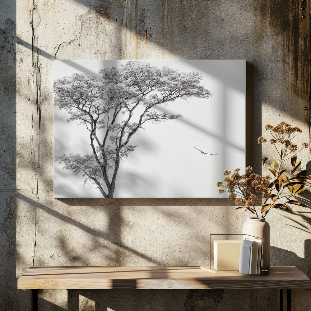 der afrikanische Adler | Leinwand-Bilder