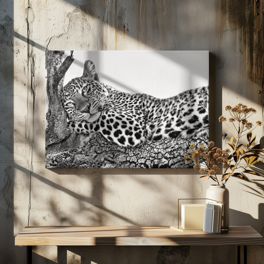 Il est temps de se reposer | Tableaux sur Toile