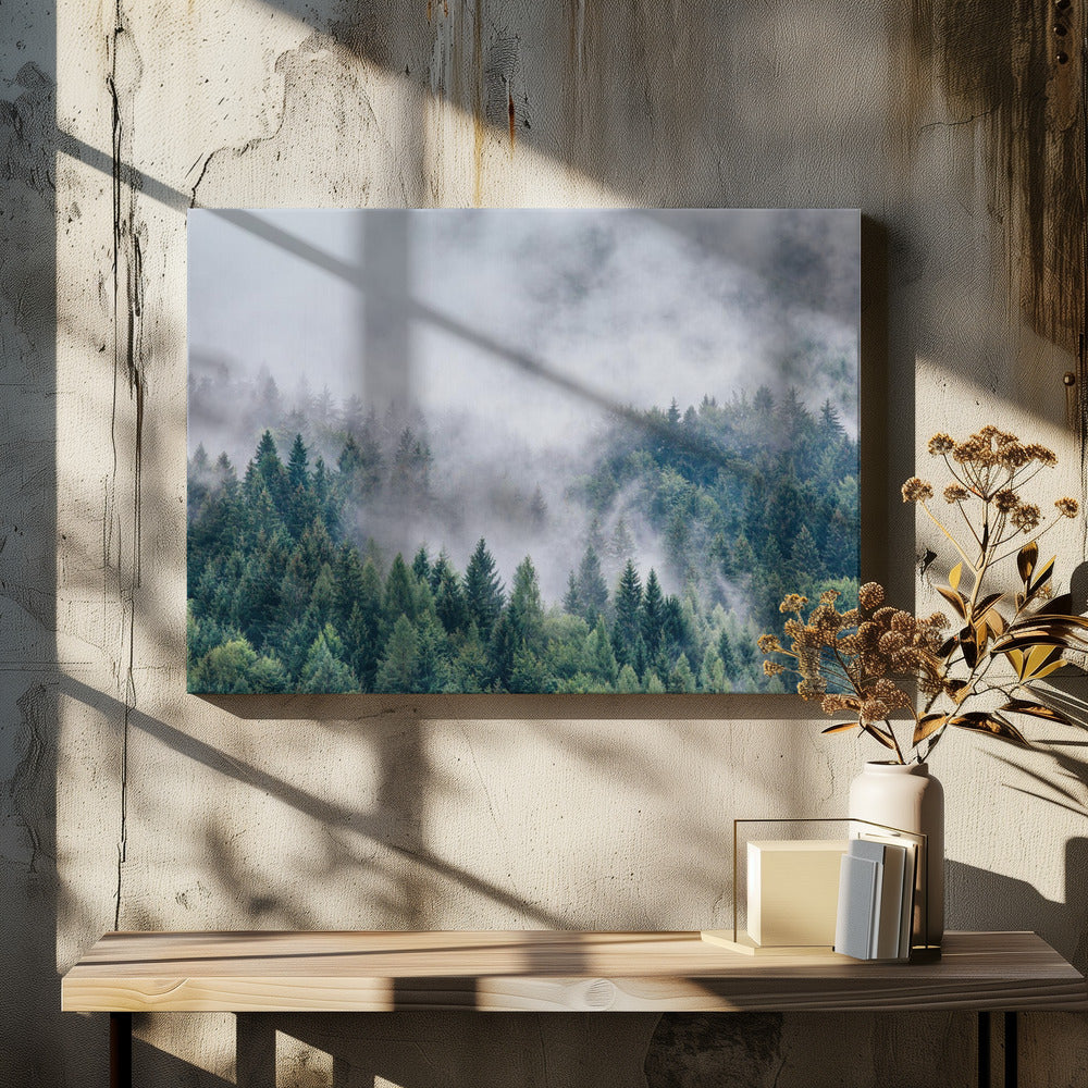 Petrichor | Leinwand-Bilder