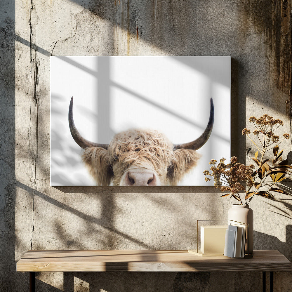 Guckende Kuh | Leinwand-Bilder