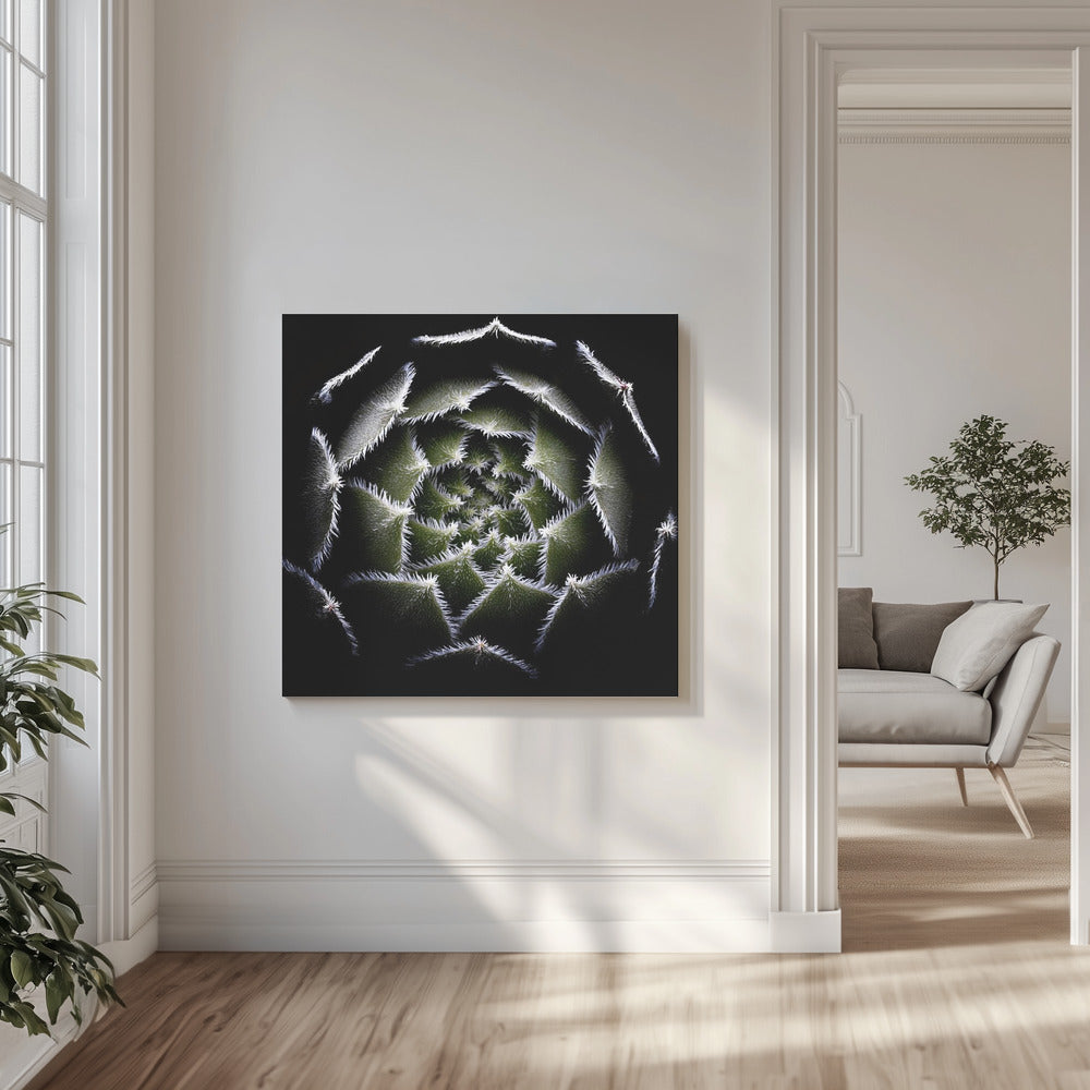 Rozeta Sempervivum | Wydruki na łótnie