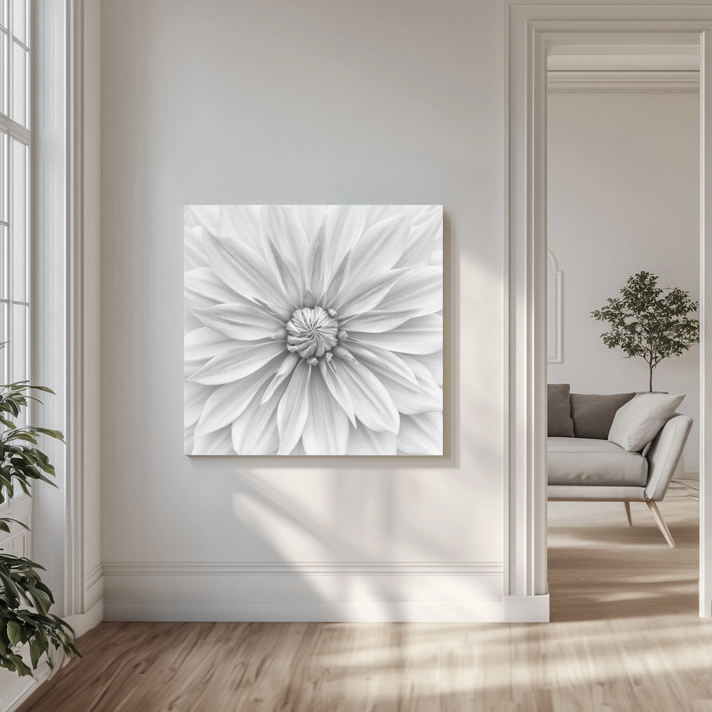 Hamari Gold in Monochrom | Leinwand-Bilder