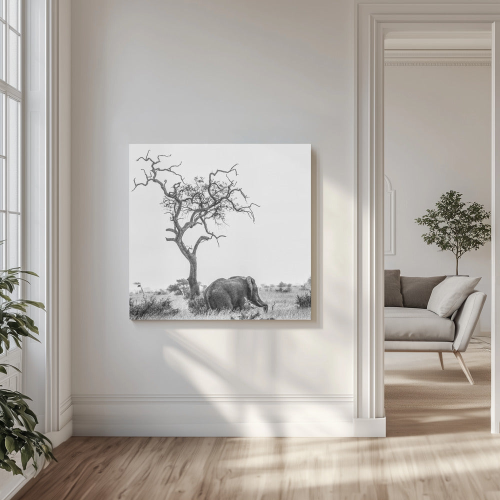 Trädet och elefanten | Canvas