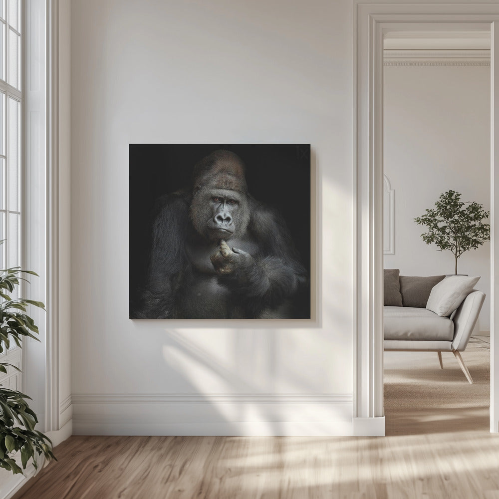 À mon humble avis. . . . | Tableaux sur Toile