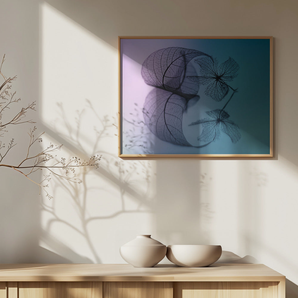 Storia di foglie e fiori | Poster - Stampe d’Arte
