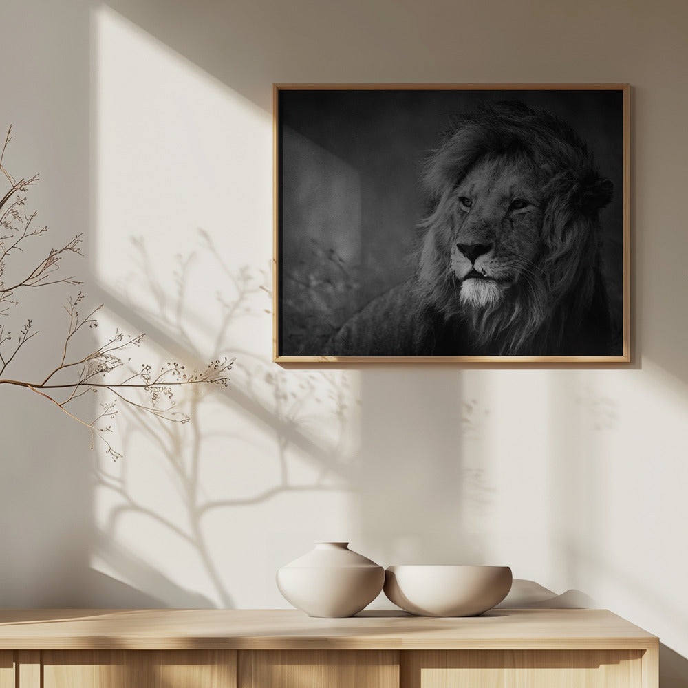 Kongelig | Plakater - Kunsttryk