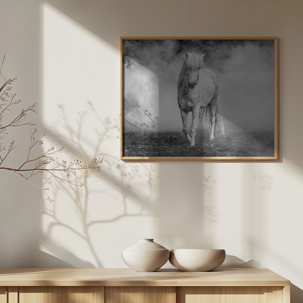 And there came a white horse | Poster