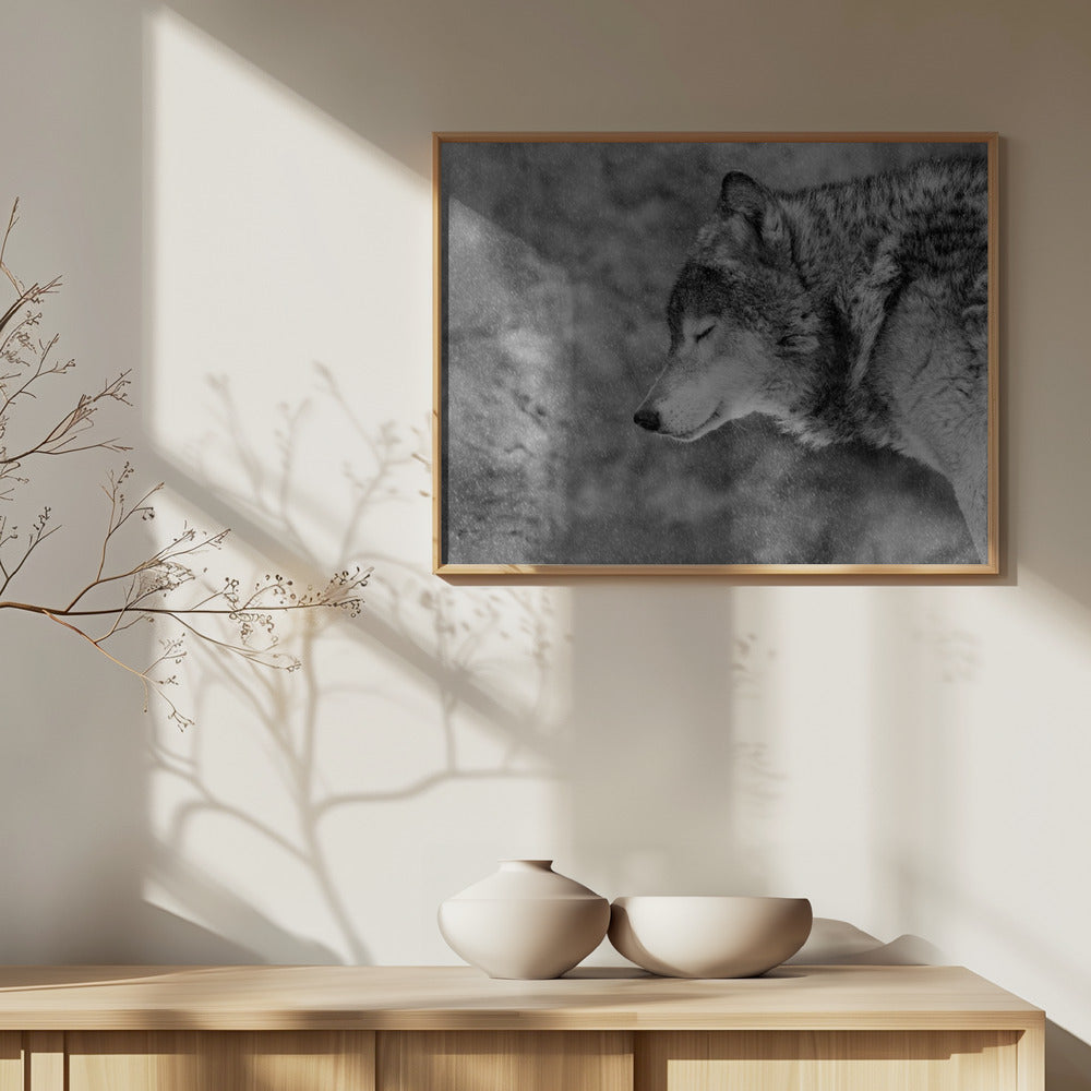 Lascia che nevichi | Poster - Stampe d’Arte